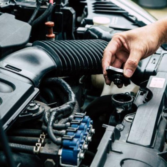 A motor vehicle engine.